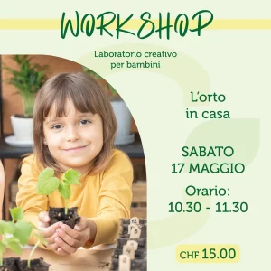 L'orto in casa